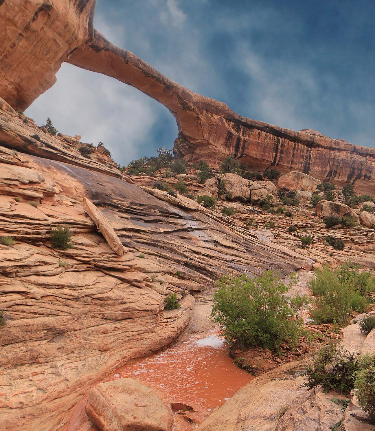 222666-nature-outdoors-adventure-landscape-national-park-utah-na.jpg