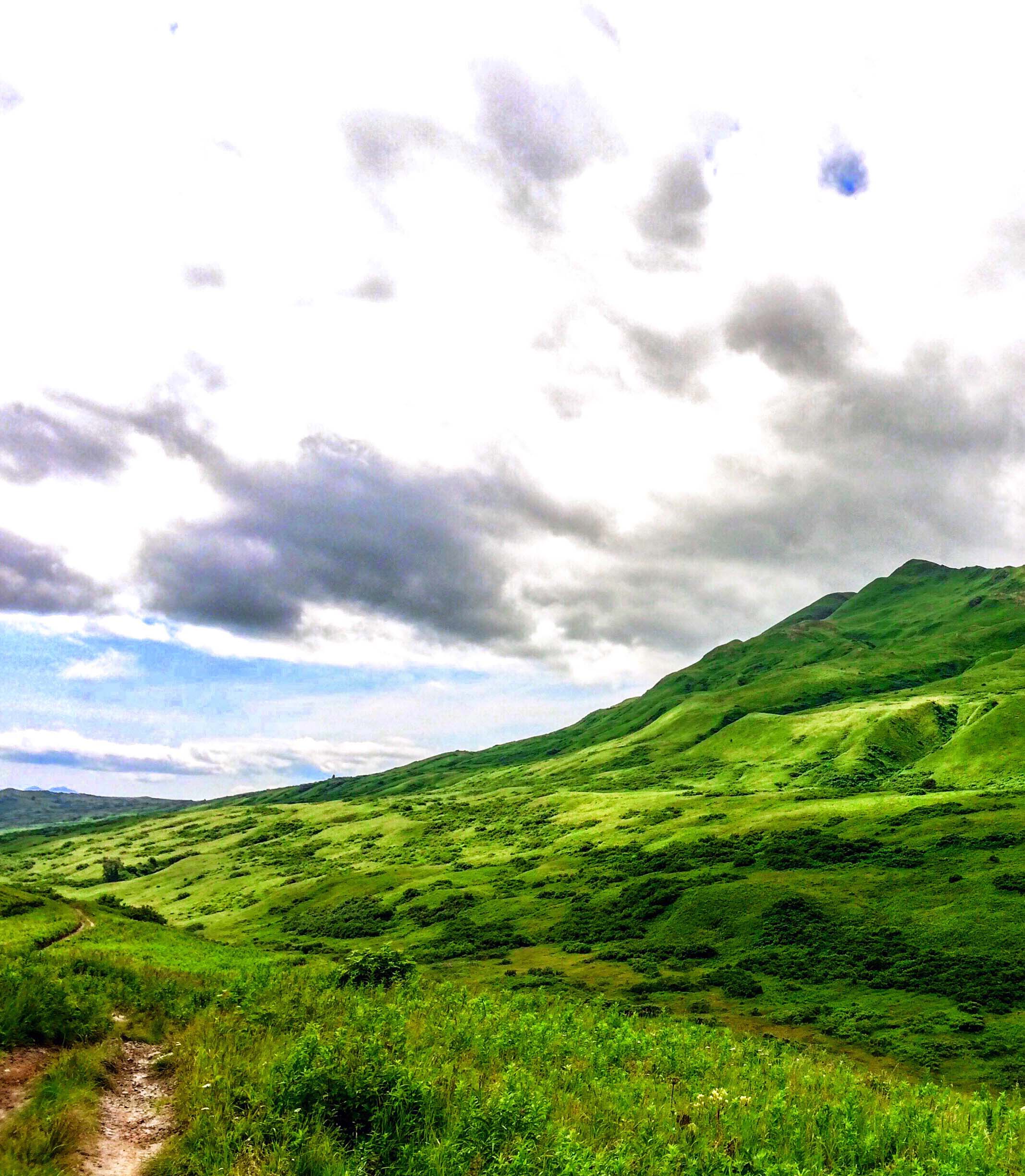 222669-kodiak-alaska-the-emerald-isle_t20_x2bw1v.jpg