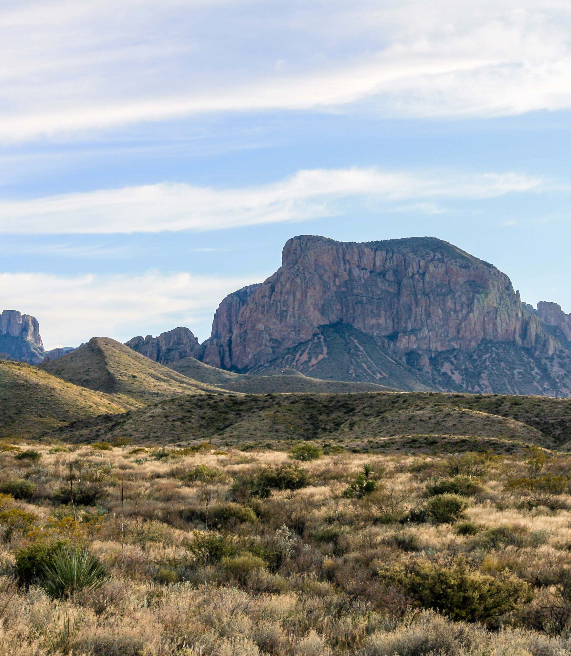 Beautiful southwestern Texas desert scene
