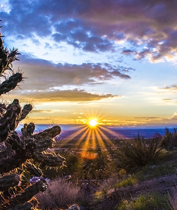 225856-new-mexico.jpg