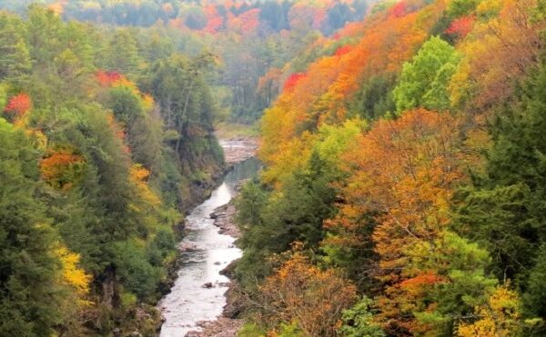 fall-colors