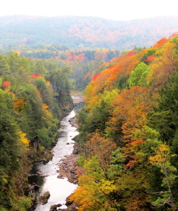 fall-colors