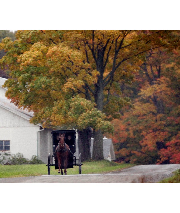Travel Trip Autumn Adventures, Burton, USA