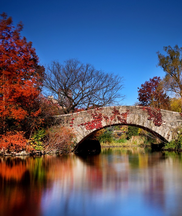 Seasonal weather in Central Park, Manhattan, New York, USA - 17 Nov 2016