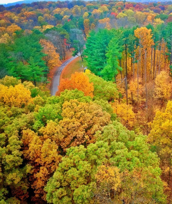226316-l12-shoals-indiana.jpg
