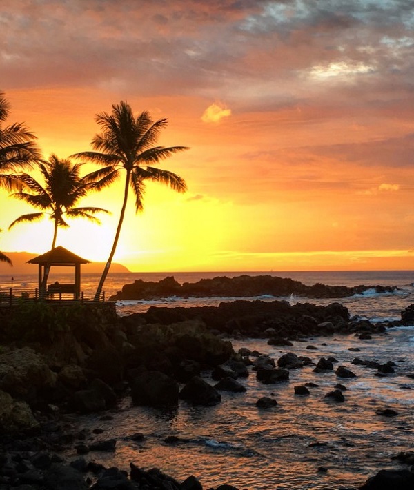 226813-north-shore-oahu-hawaii.jpg