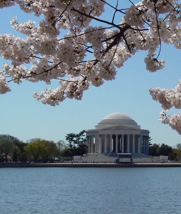226831-washington-d.jpg