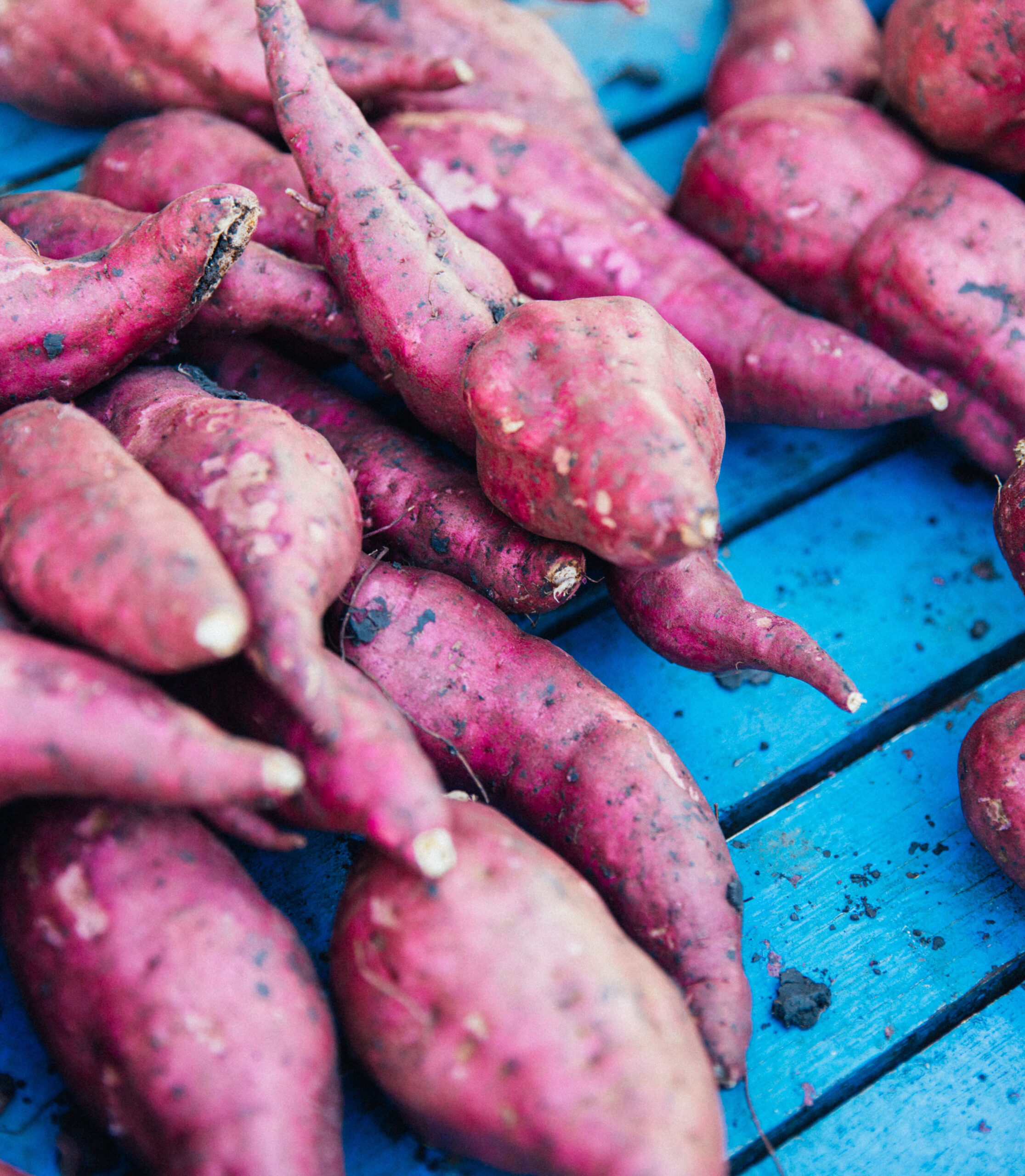 227621-sweet-potatoes-the-purple-kind_t20_ngeyxd.jpg