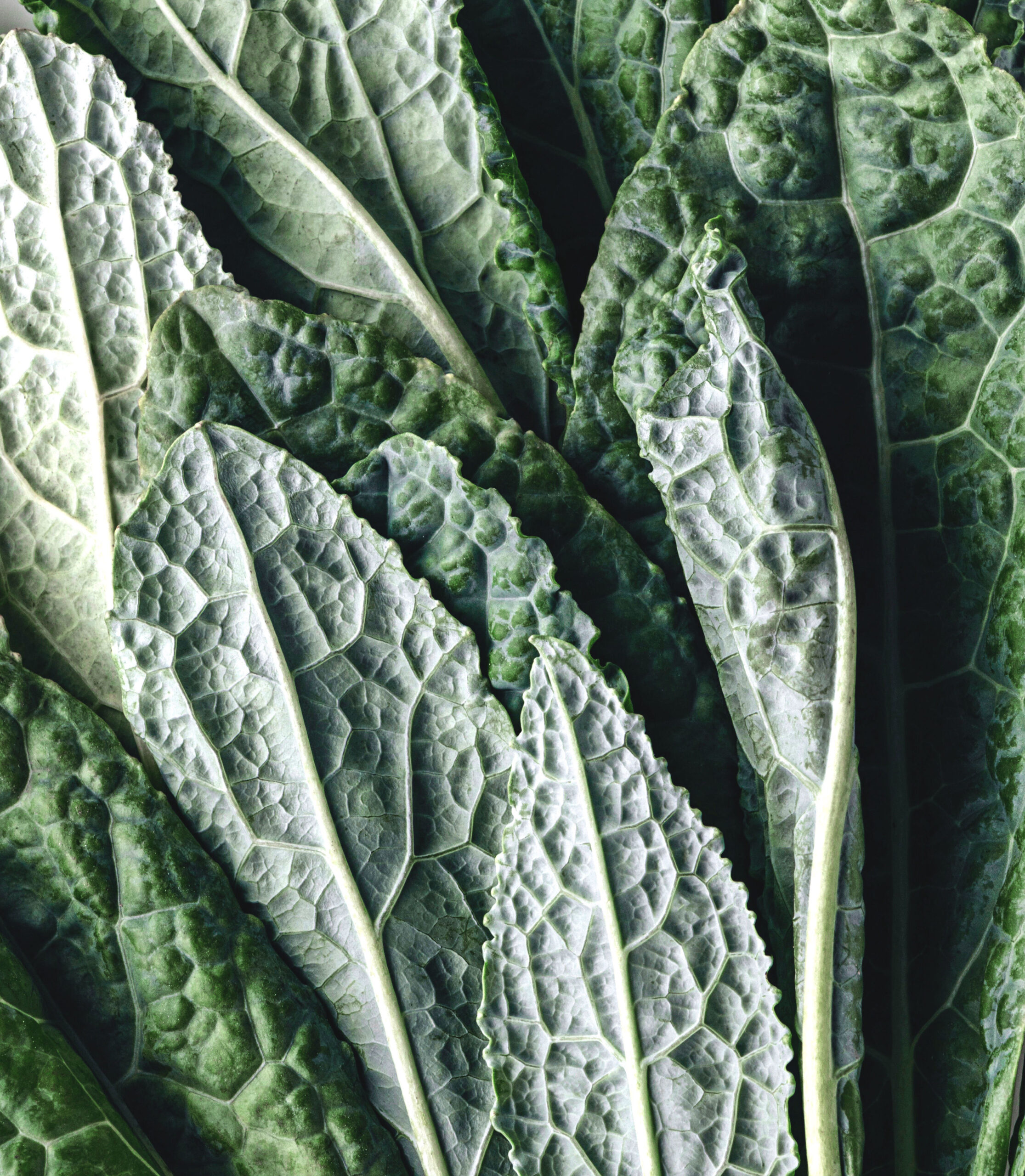 Kale