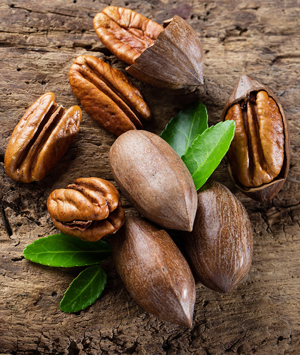 228120-pecans-shutterstock_1169999053.jpg