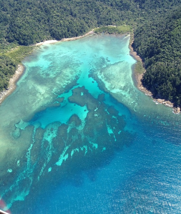 228697-great-barrier-reef-australia.jpg
