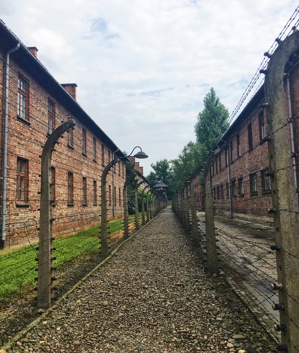 228706-auschwitz-poland.jpg