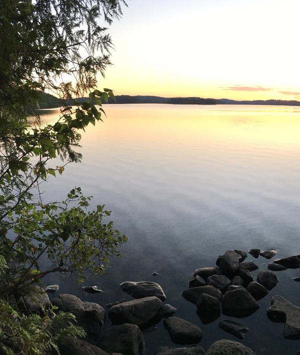 229652-michigan.jpg