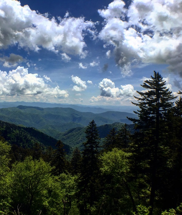 229662-tennessee.jpg