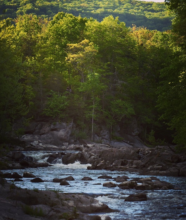 229677-connecticut.jpg