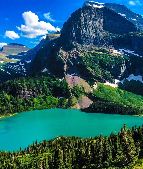 229684-montana.jpg