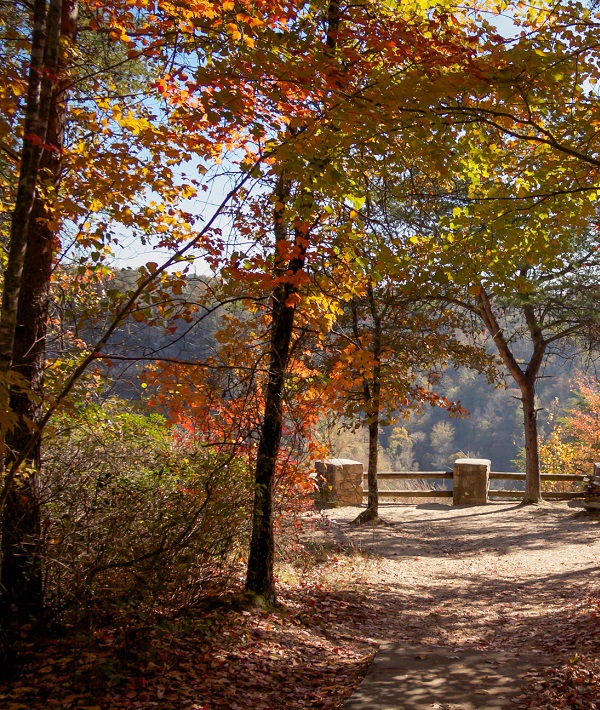 229690-alabama.jpg