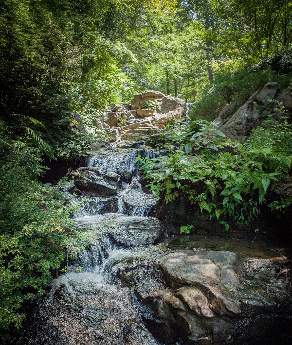 229692-arkansas.jpg