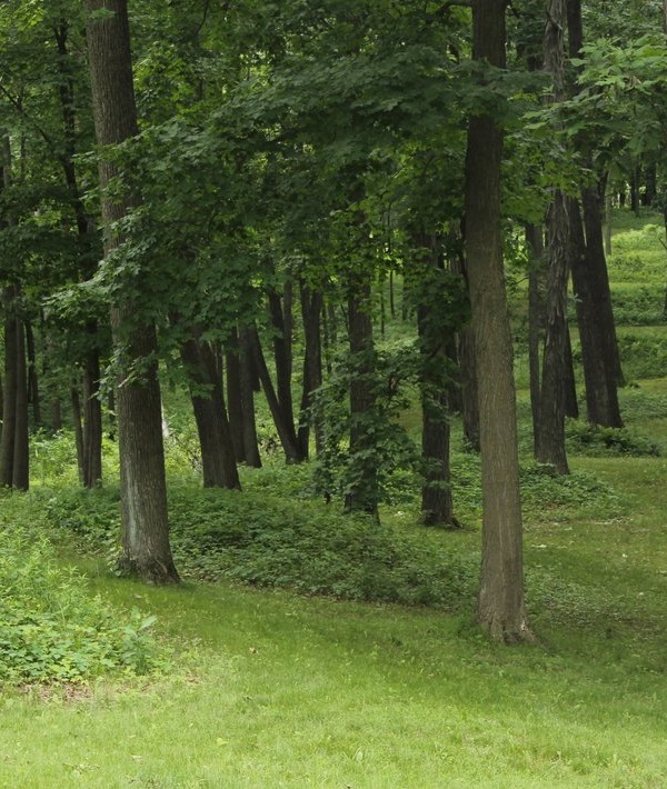 230082-iowa.jpg