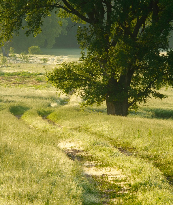 Tallgrass Nat'l Preserve