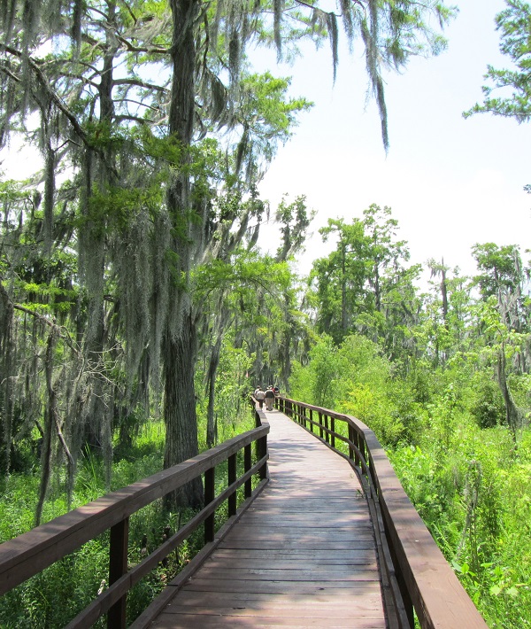 230088-jean-lafitte-natl-park-bdw.jpg