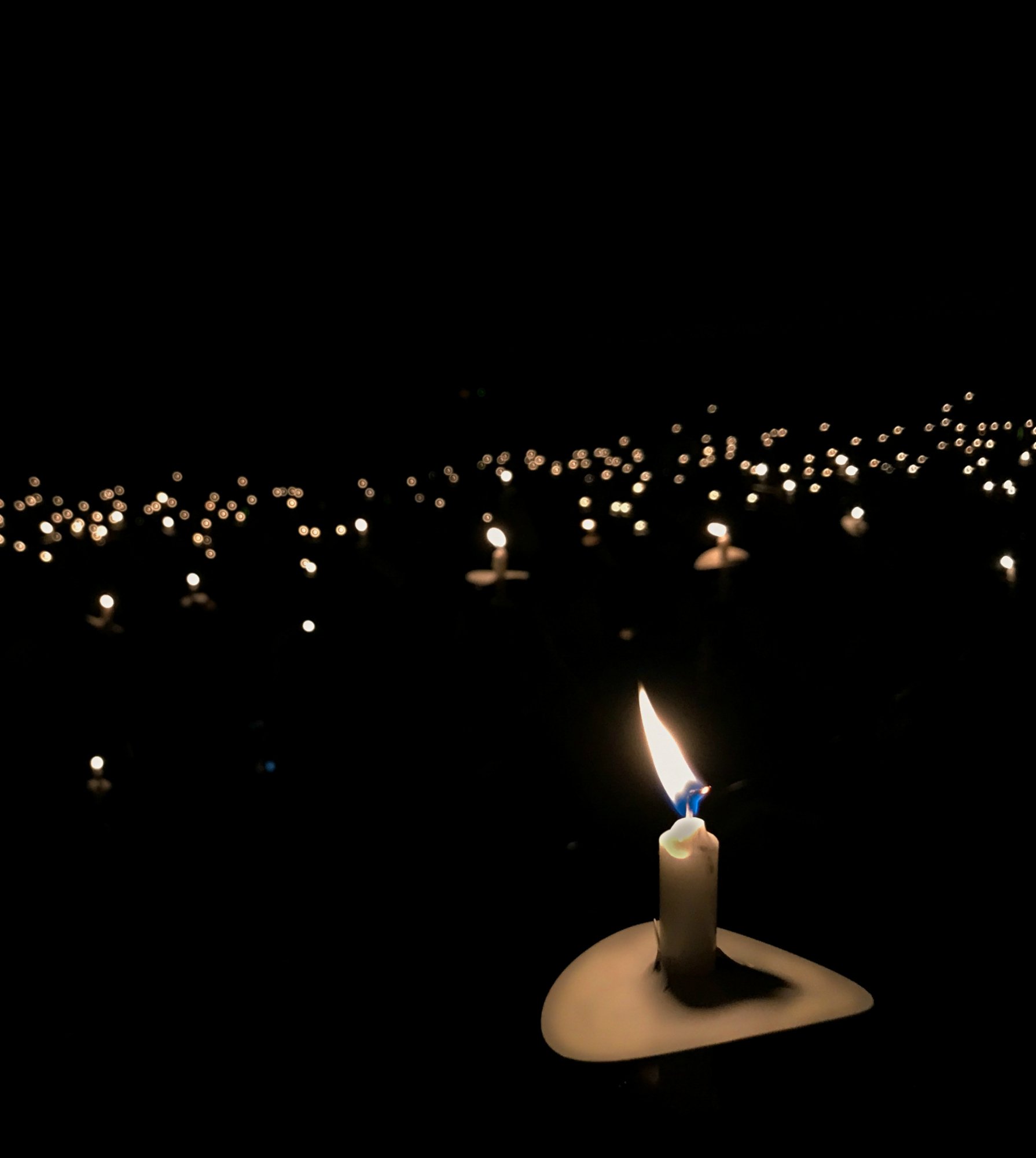 230356-world-peace-day-candlelight.jpg