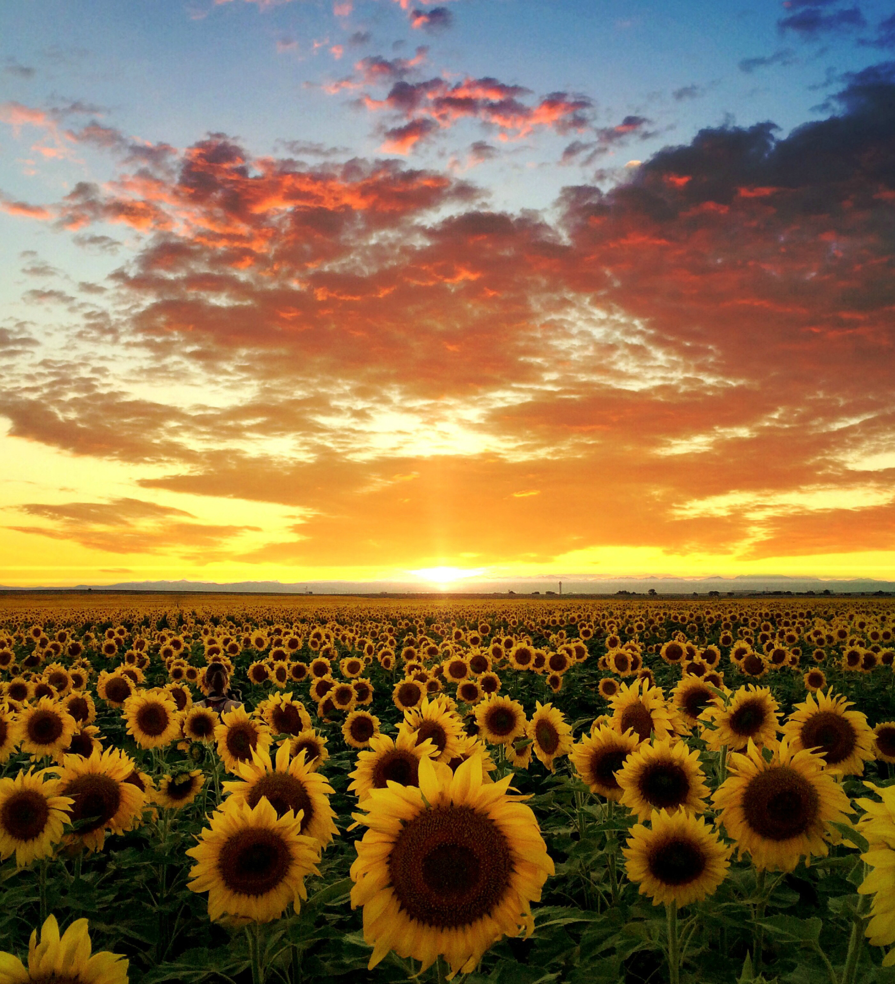 230799-smart-fall-equinox-facts-day-night.jpg