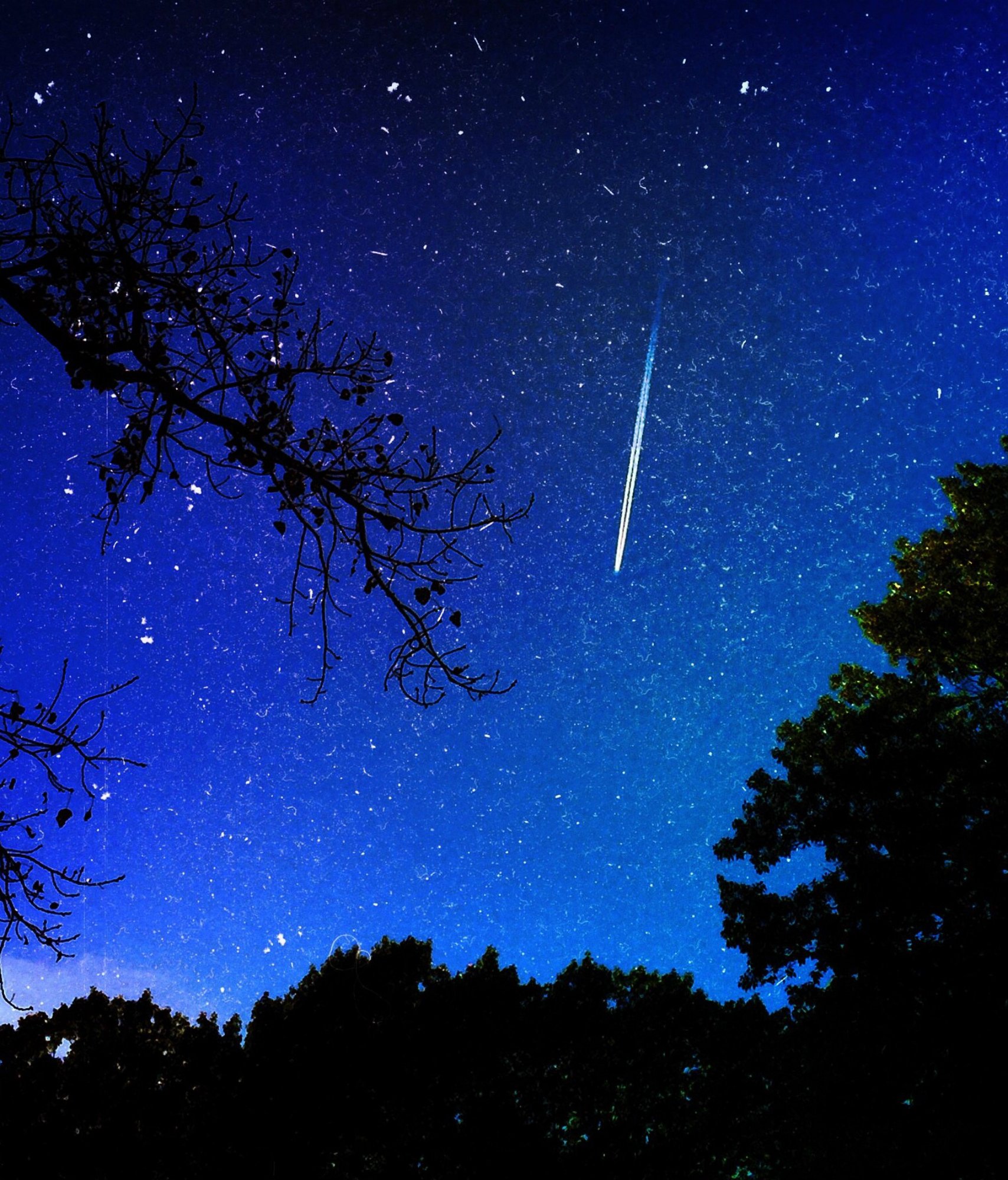 231041-celestial-events-short-period-comets.jpg