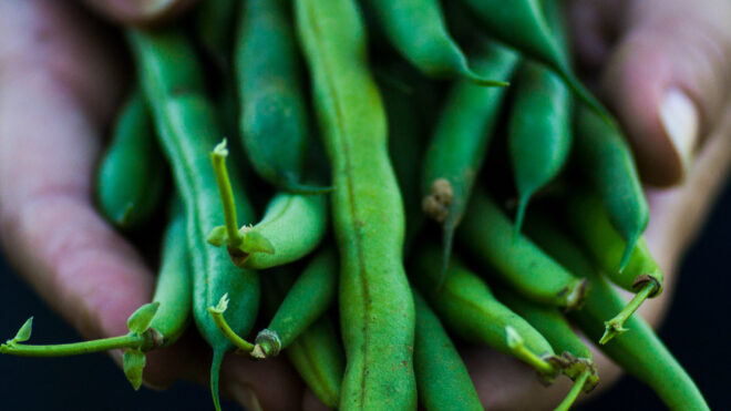 reasons-know-neighbor-fresh-produce