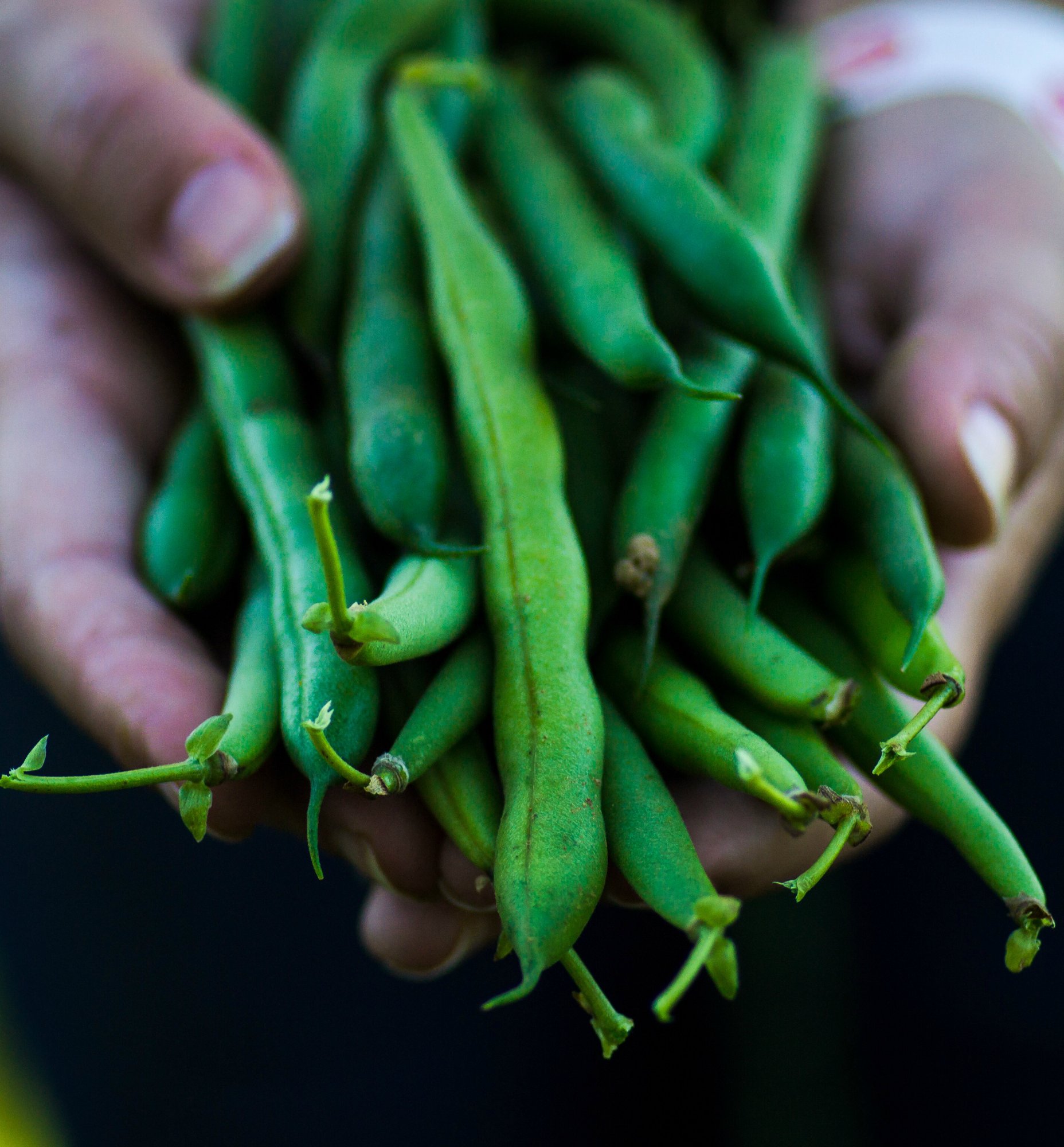 231231-reasons-know-neighbor-fresh-produce.jpg