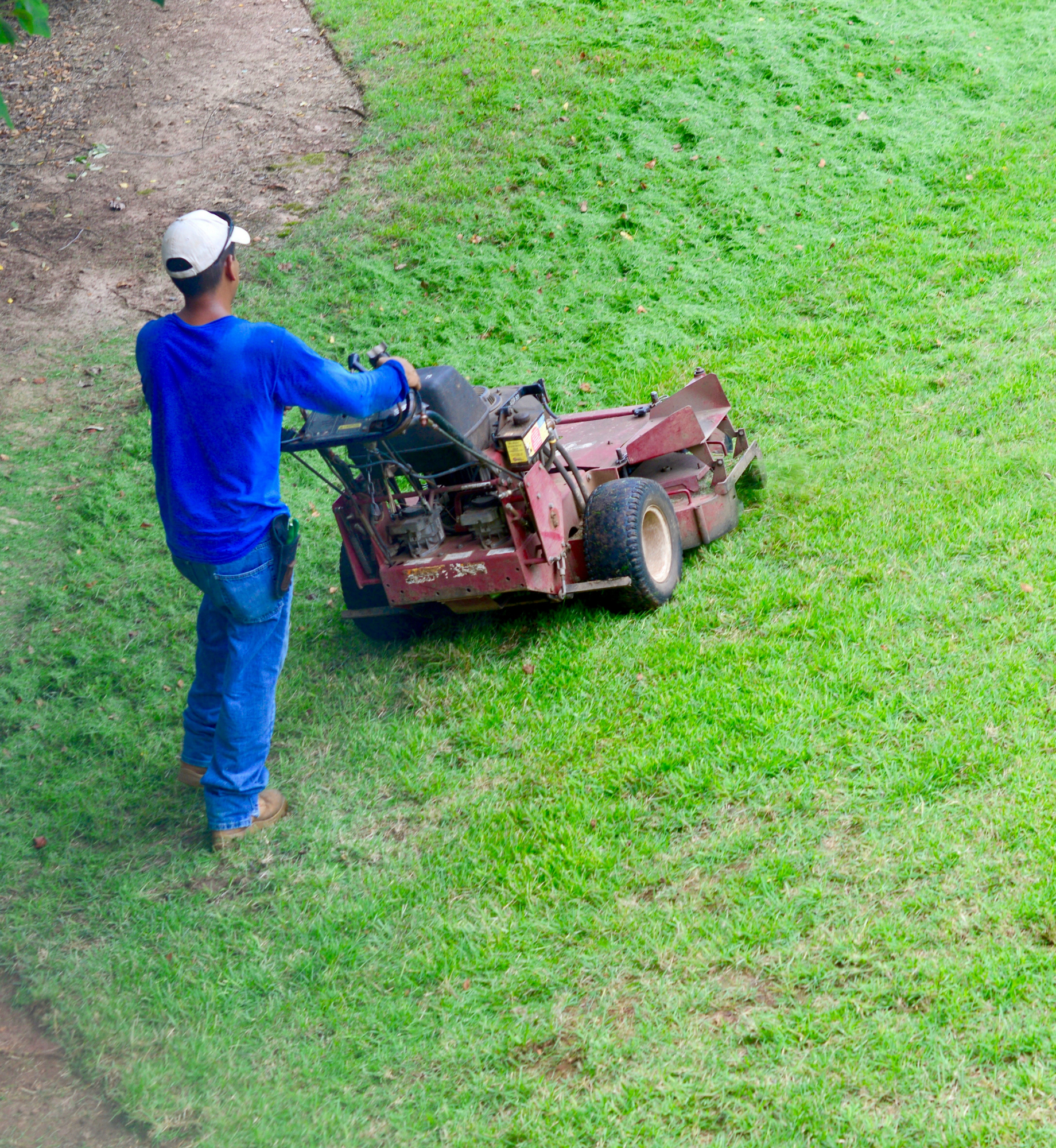 231565-worst-neighbors-news-bitter-landscaper.jpg