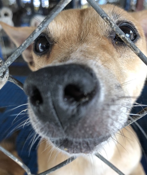 232034-boop-me_t20_wqp8ww.jpg
