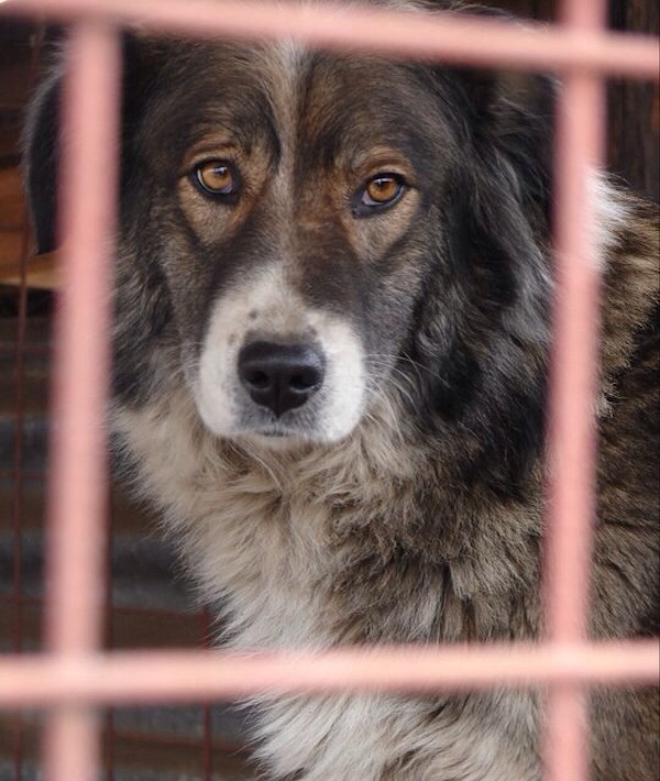 232041-shelter_t20_voabvk.jpg