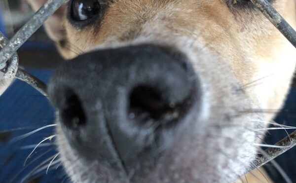 boop-me_t20_wqp8ww