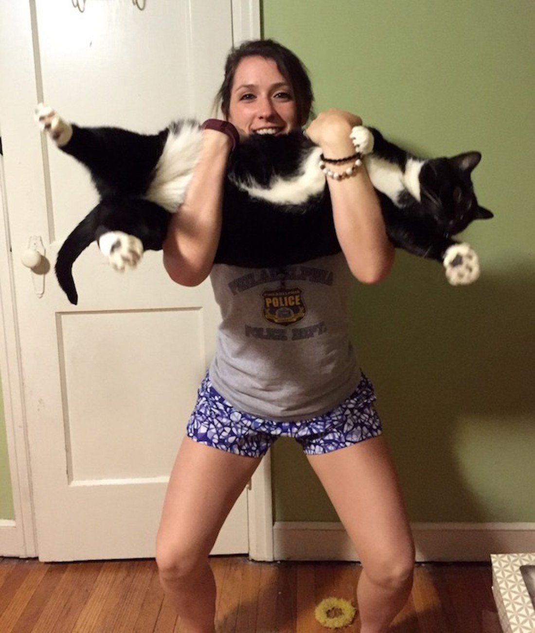 234191-bicep-curls-with-our-30-pound-cat-who-needs-weights-lol_t.jpg