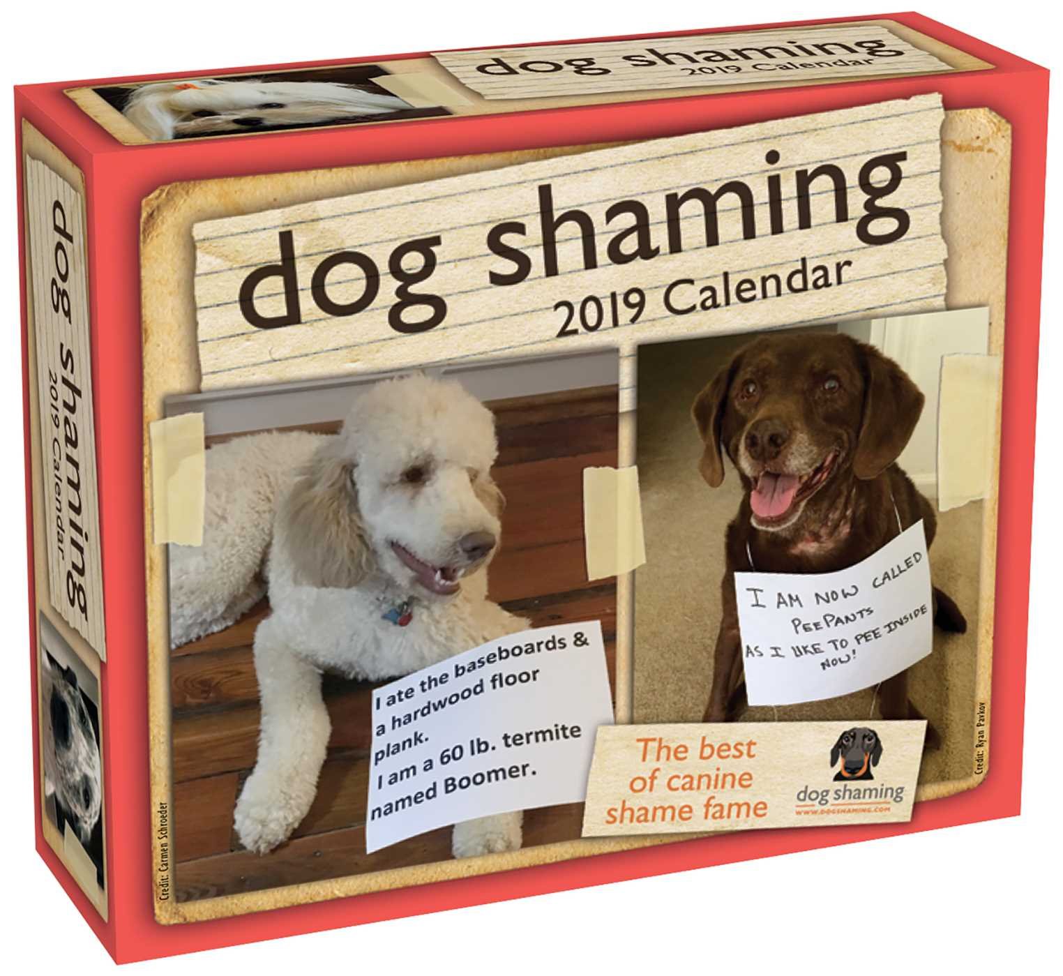 236245-dog-shaming-calendar.jpg