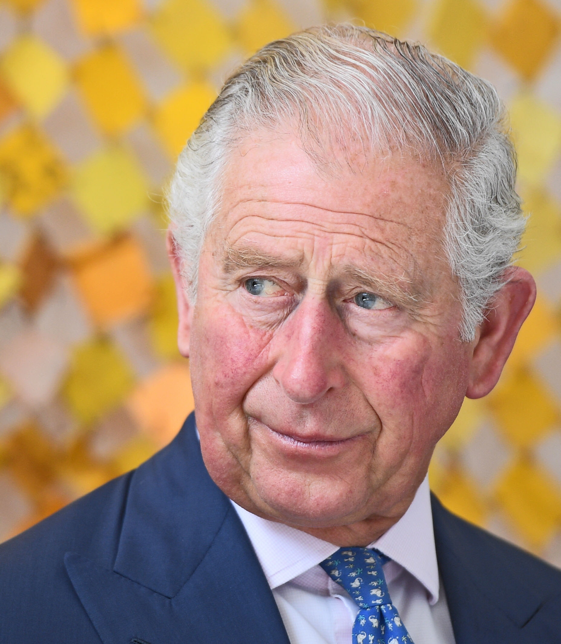 The Prince Of Wales And Duchess Of Cornwall Visit Ghana - ACCRA