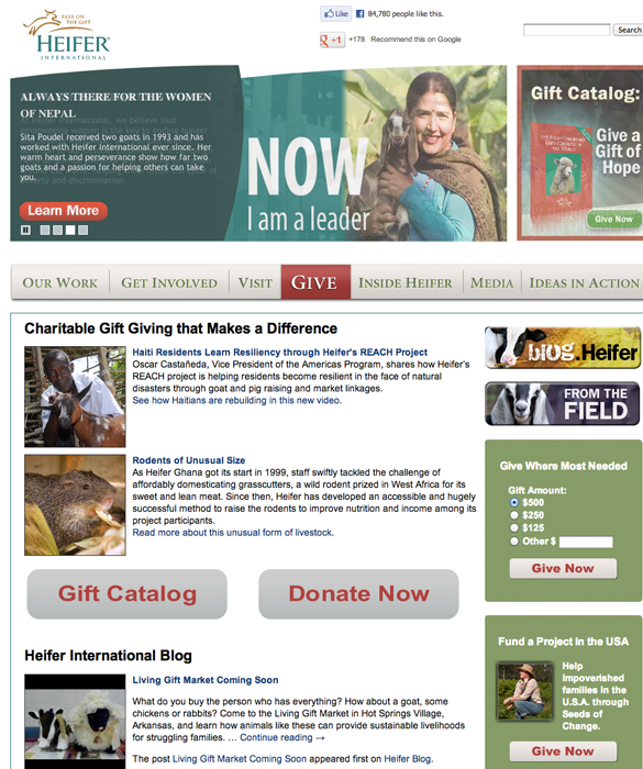 23725-heifer.png