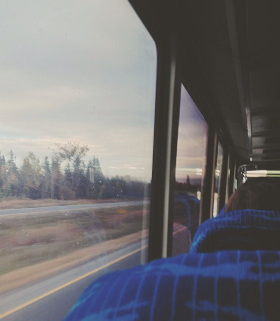 237411-heading-home_t20_y1bgn6.jpg