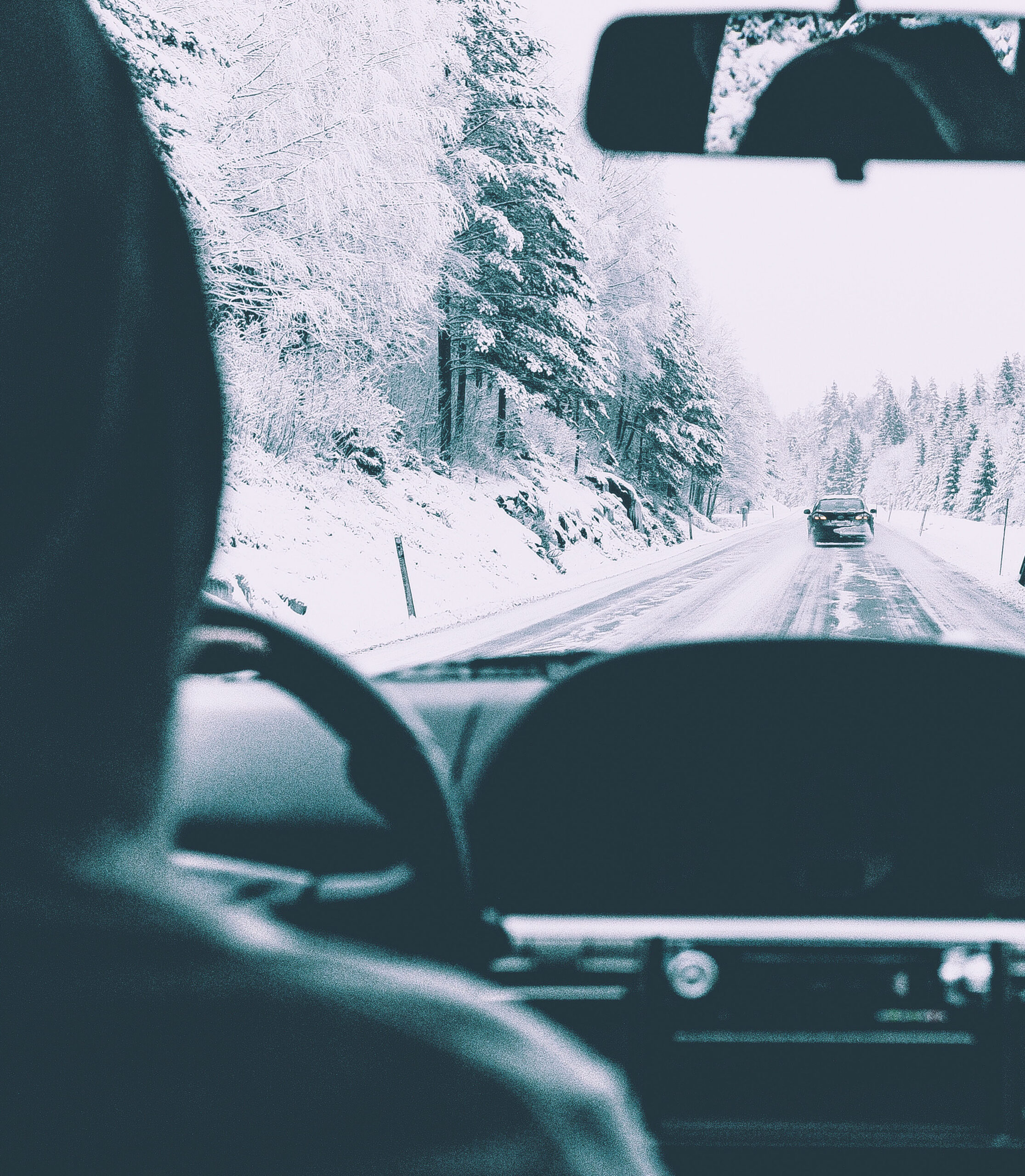 237419-carpooling-to-work-in-norway_t20_aoexlp.jpg