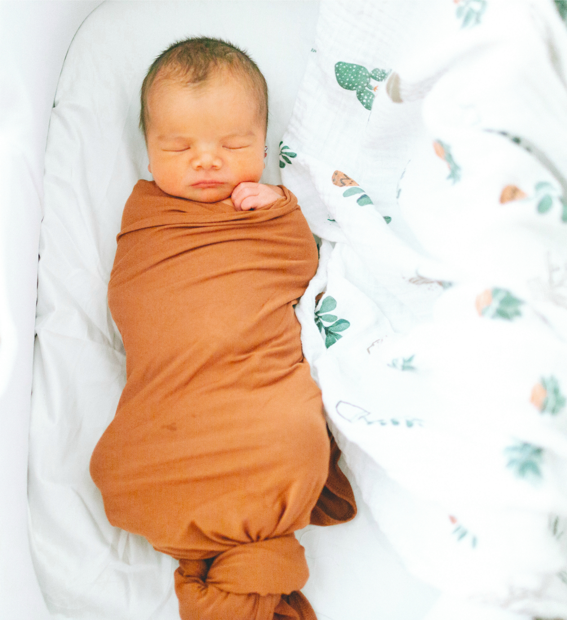 237521-myths-about-adoption-infants-selfish.jpg