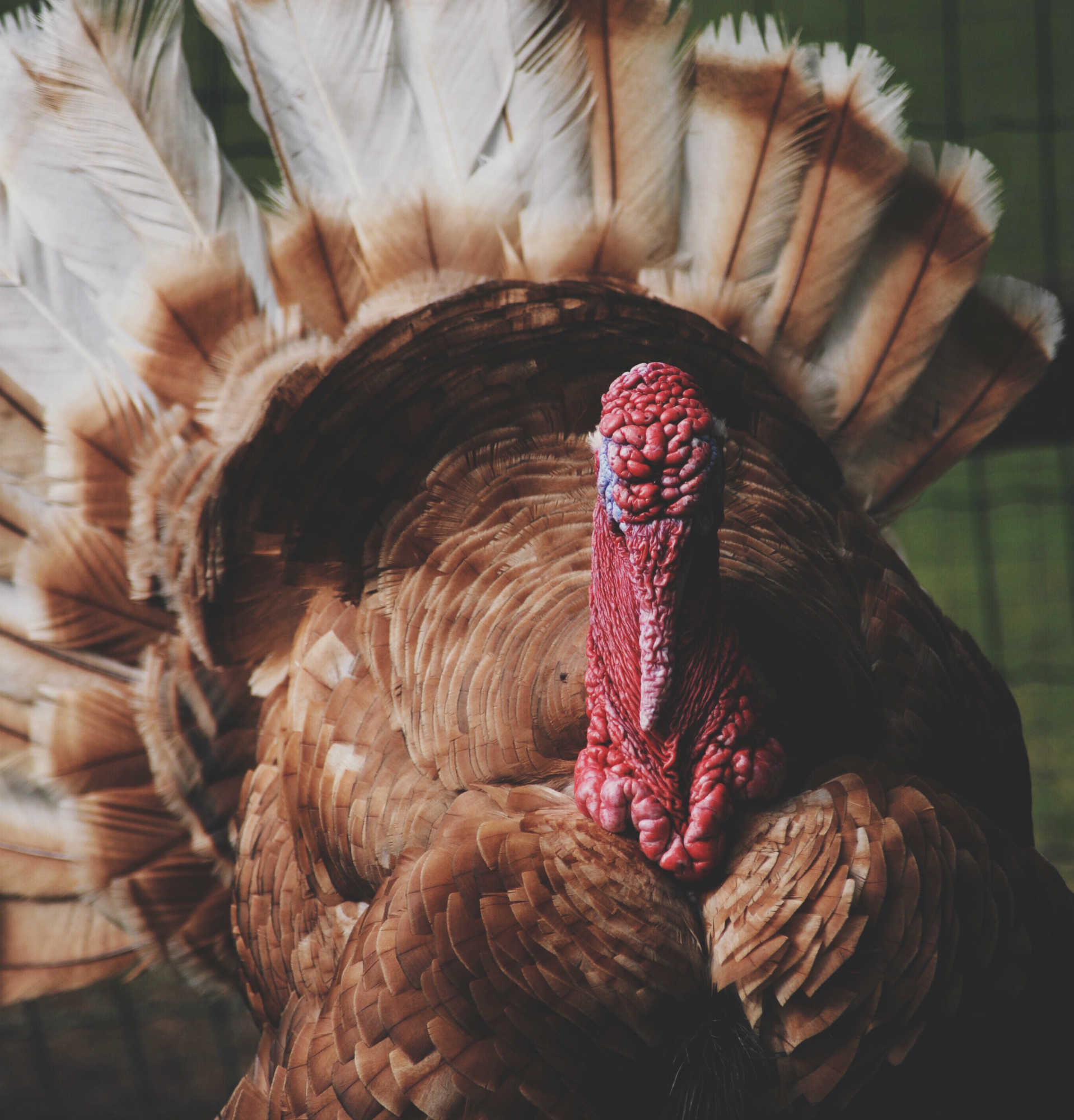 Processed with VSCO with 5 preset