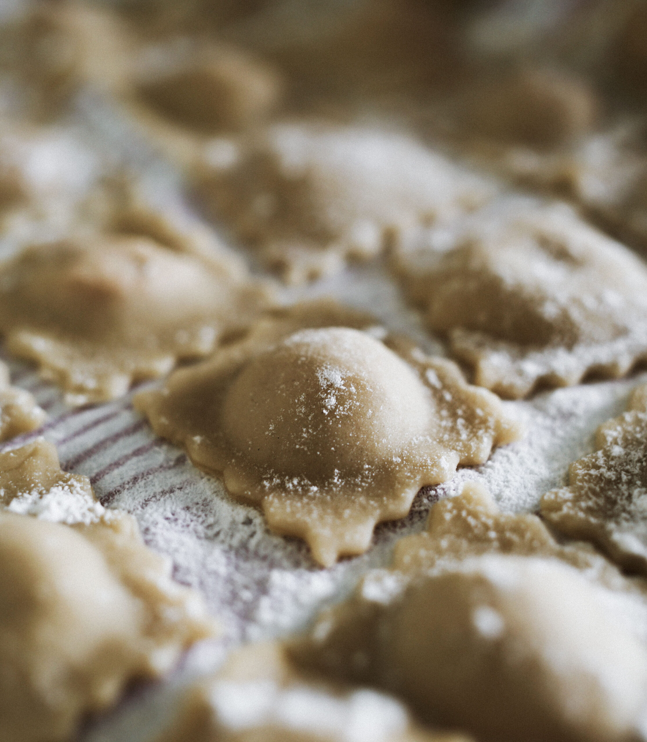 238176-self-made-italian-pasta-ravioli_t20_roomvl.jpg