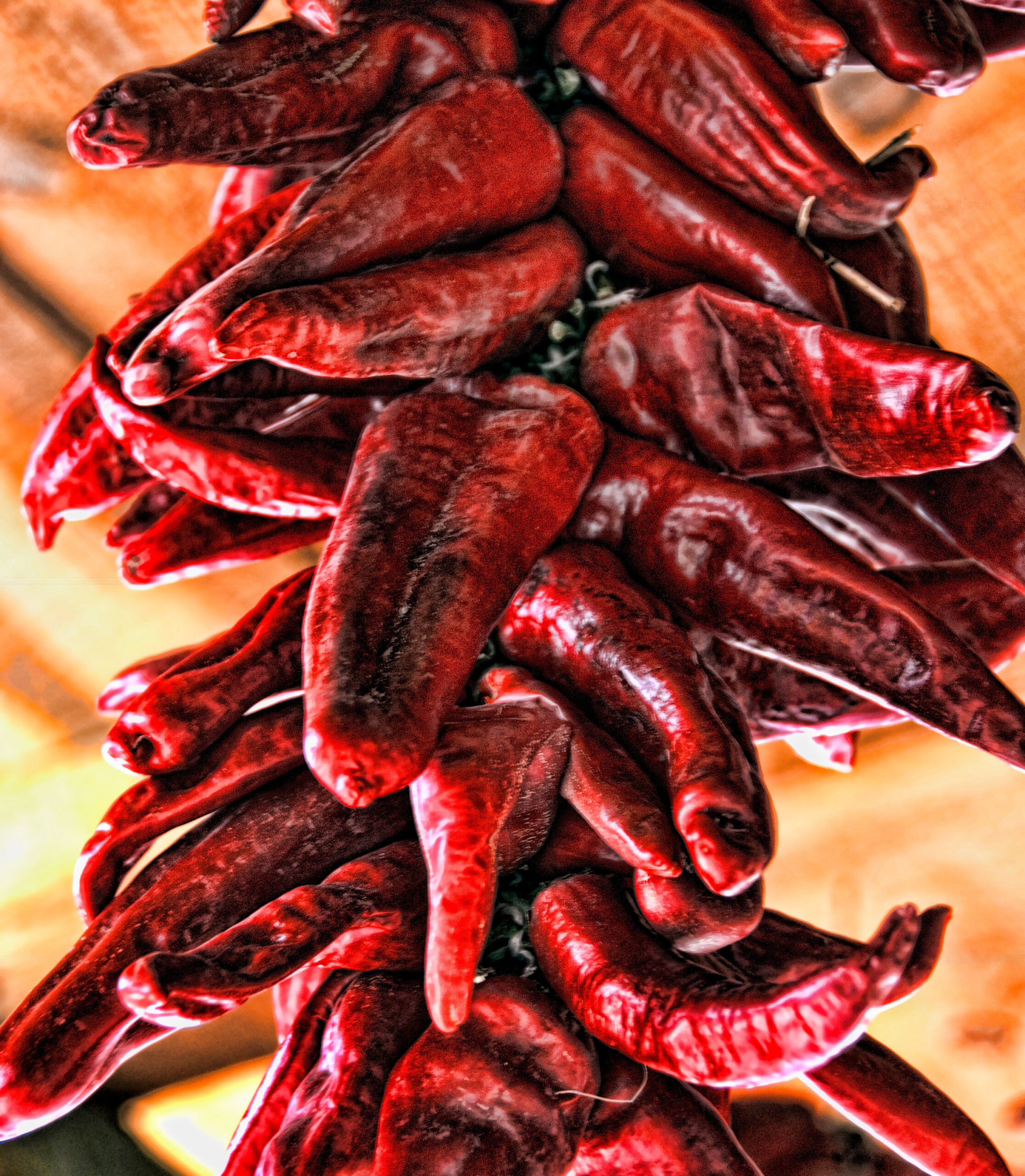 238183-new-mexico-southwest-albuquerque-ristras-red-chili_t20_ko.jpg