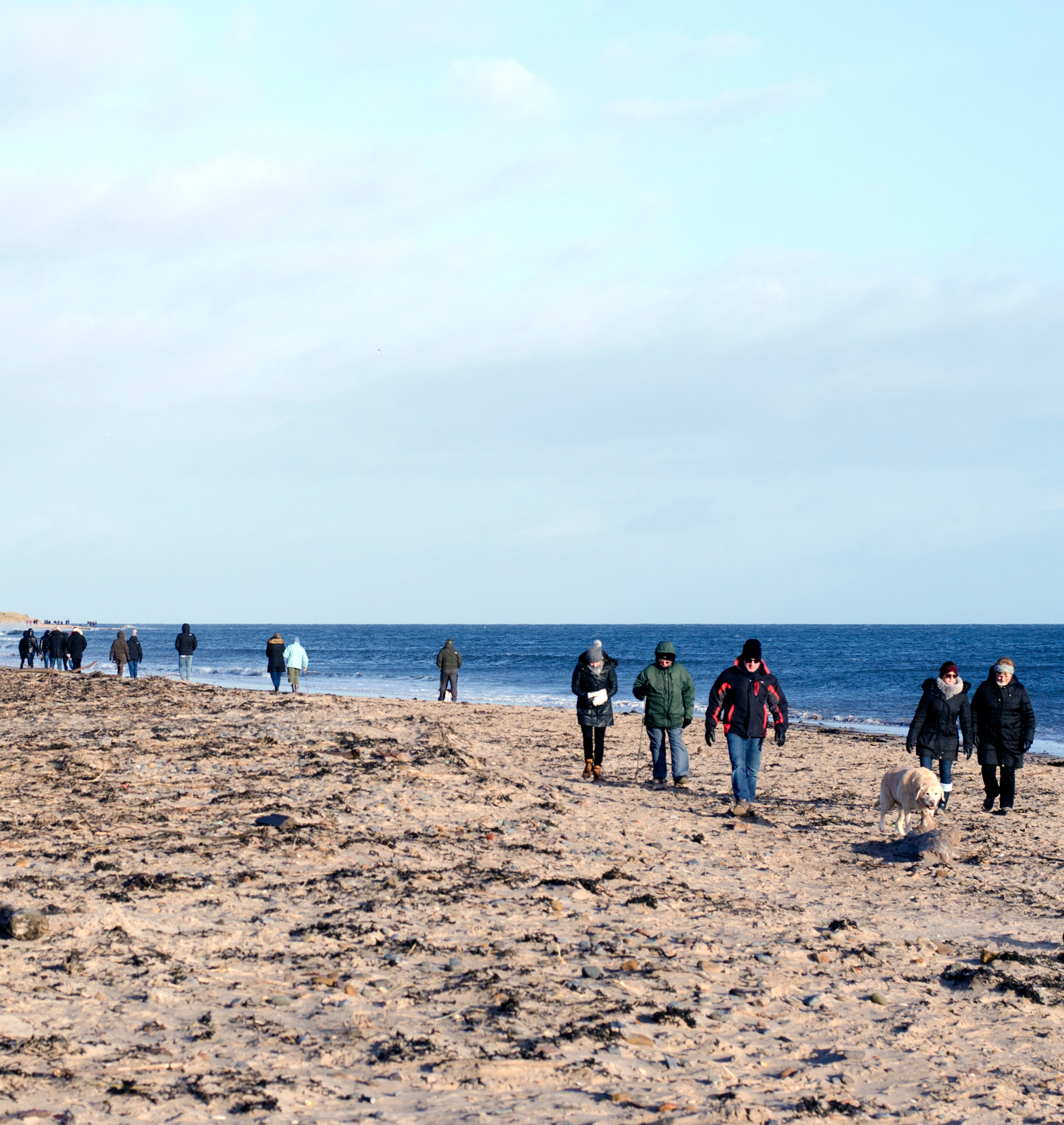 238284-family-outings-black-friday-walk-beach.jpg