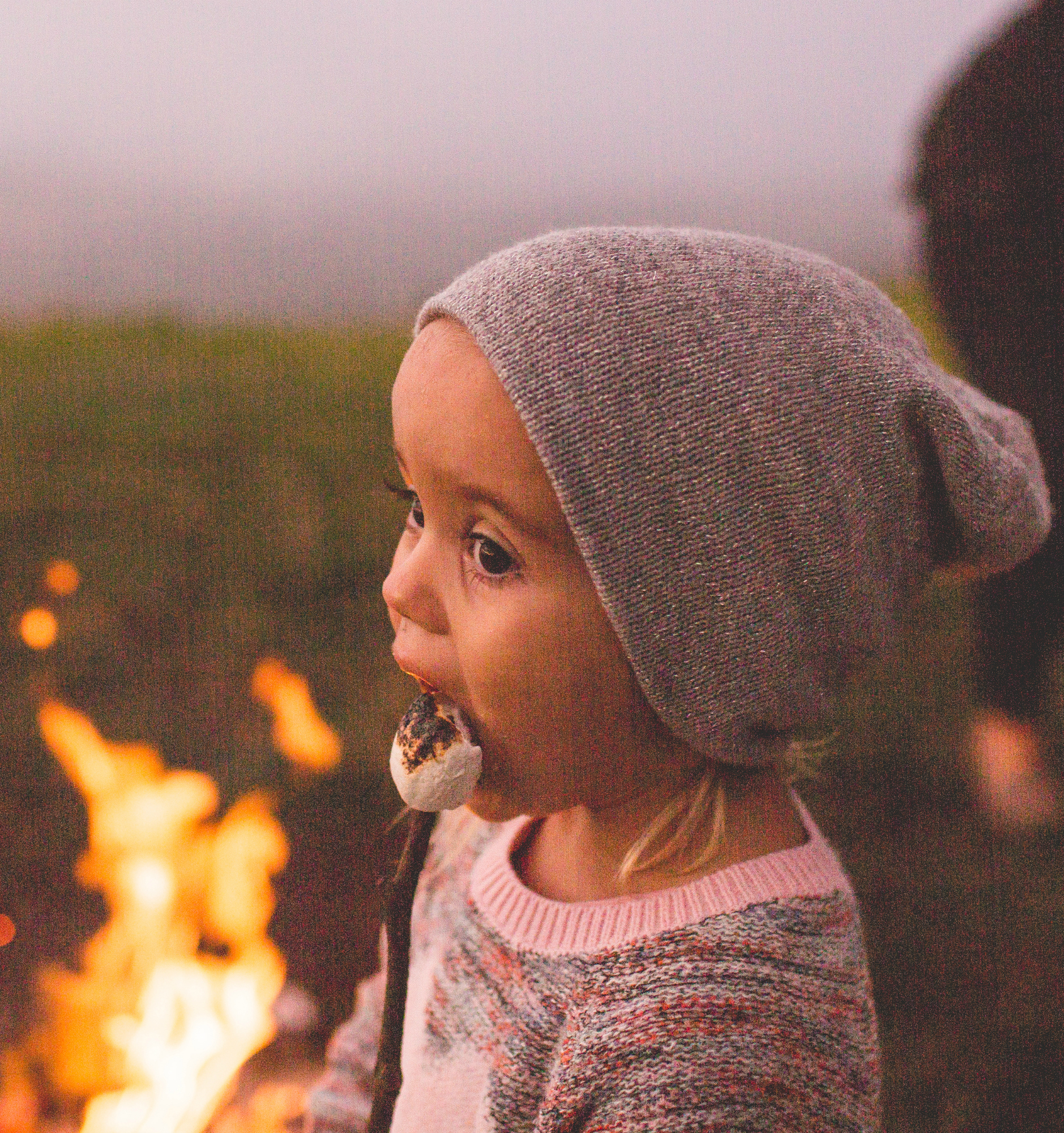 238288-family-outings-black-friday-campfire-marshmallows.jpg