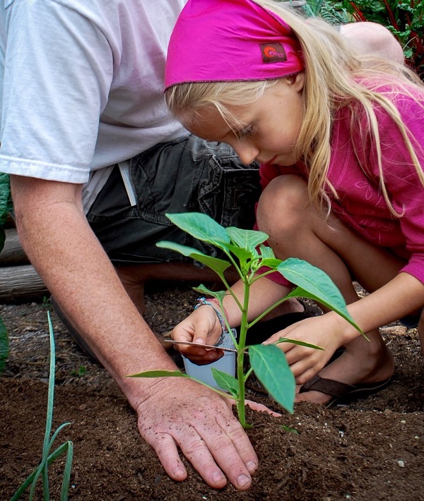239235-family-project.jpg