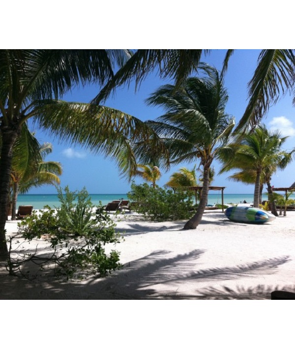 241398-l12-isla-holbox-mexico.jpg