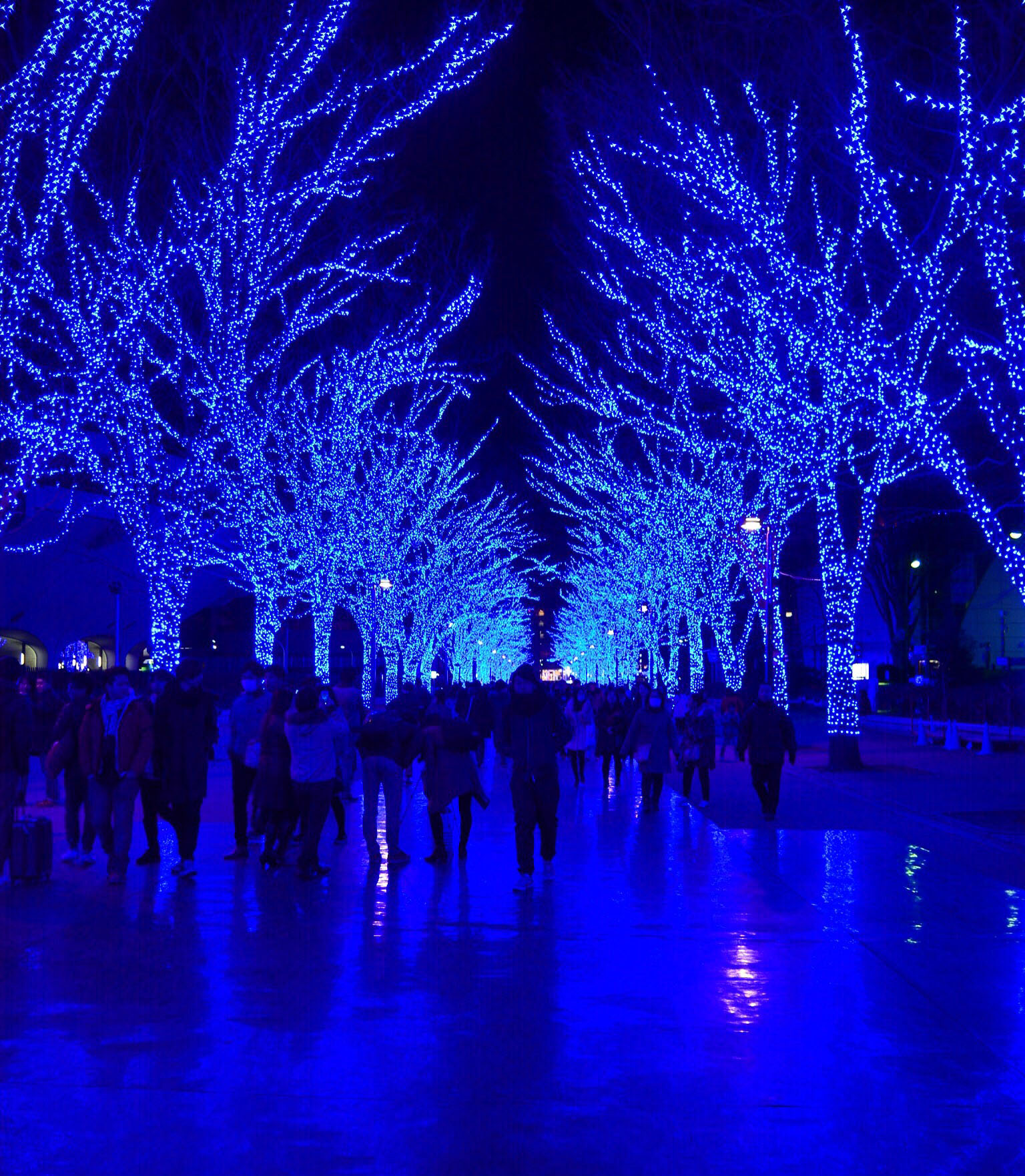 241494-blue-cave-2017-01-07-sat-bluecave-illumination-event-koen.jpg