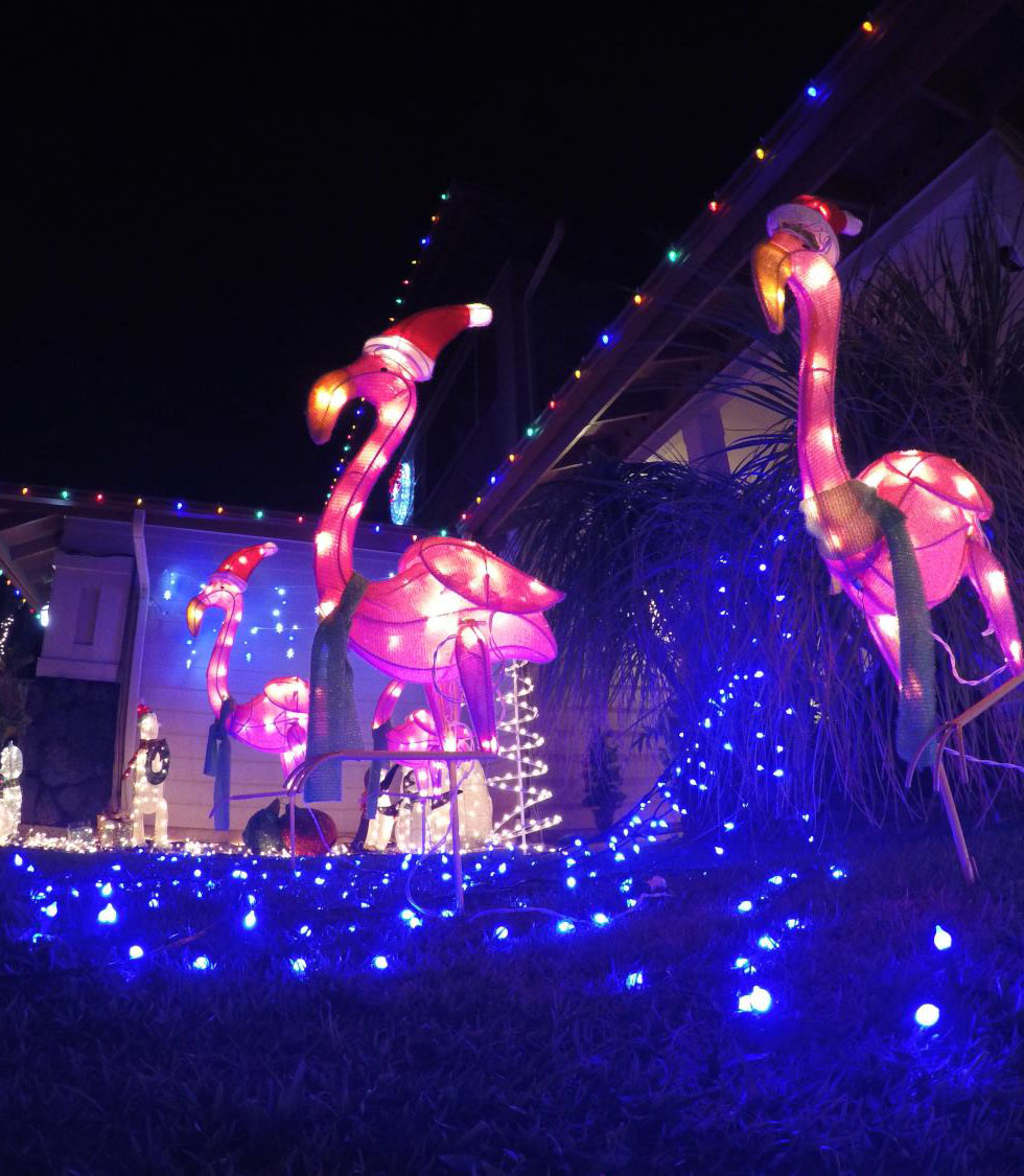 241495-waikele-christmas-lights.jpg